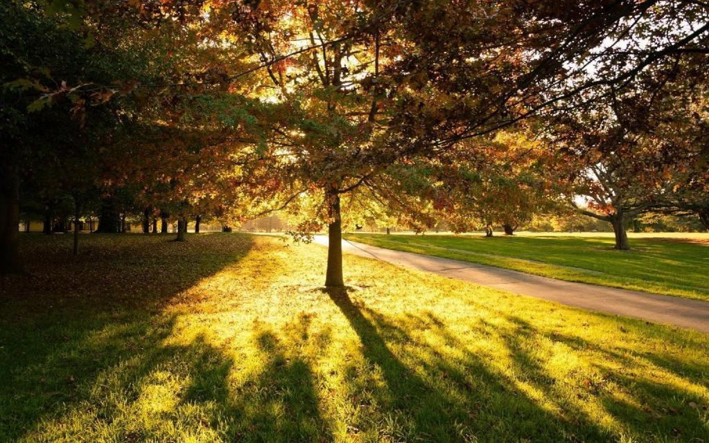 The Riccarton Hotel Christchurch Ngoại thất bức ảnh